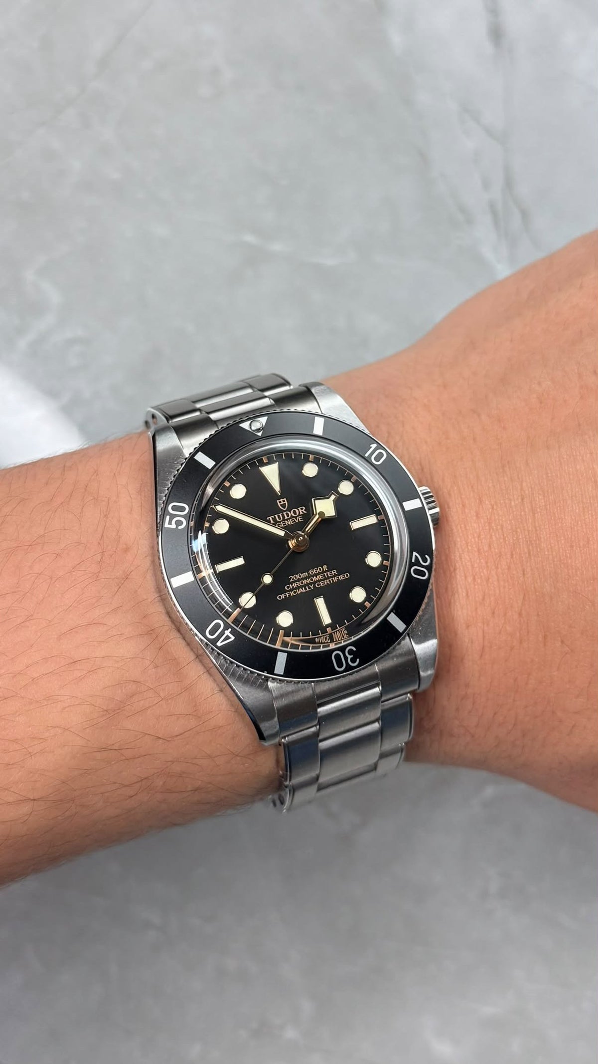 Tudor Black Bay 54